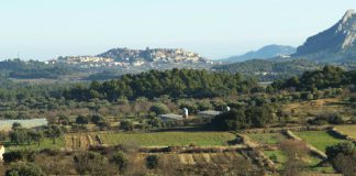 La esposa amada que lo quiso asesinar en tres ocasiones. Vivieron muchos años y fueron muy felices.