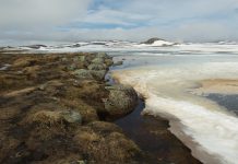 Ruta 8 – Ovre Ardal> Skjalden> Geranger > Alensund