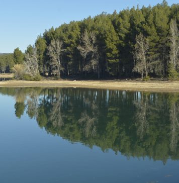 IV Kedada en Navajas el 30/01/2023 Embalse del Regajo