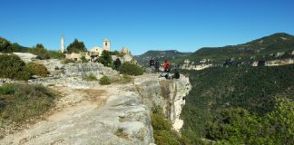 Furgonetas y Pitonisas