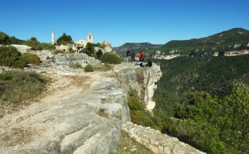 Furgonetas y Pitonisas