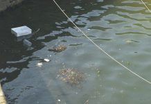 Puerto de Camariñas,Galicia, Septiembre del 2022