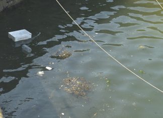 Puerto de Camariñas,Galicia, Septiembre del 2022