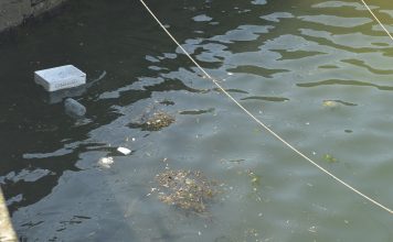 Puerto de Camariñas,Galicia, Septiembre del 2022