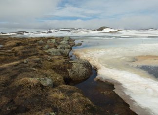 Ruta 8 – Ovre Ardal> Skjalden> Geranger > Alensund