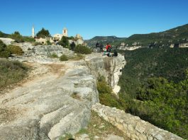 Furgonetas y Pitonisas